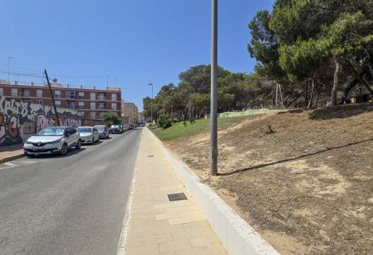 Resale - Plot - Guardamar del Segura - Pueblo