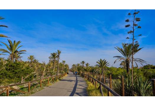 Resale - Plot - Guardamar del Segura - Pueblo