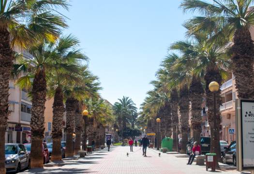 Resale - Plot - Guardamar del Segura - Pueblo