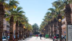 Resale - Plot - Guardamar del Segura - Pueblo