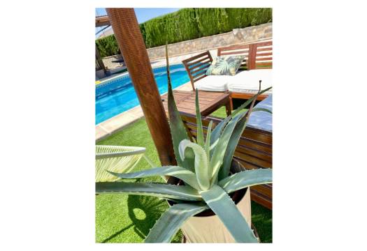 Resale - Villa / Detached - Ciudad Quesada - Quesada Center