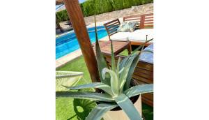 Resale - Villa / Detached - Ciudad Quesada - Quesada Center