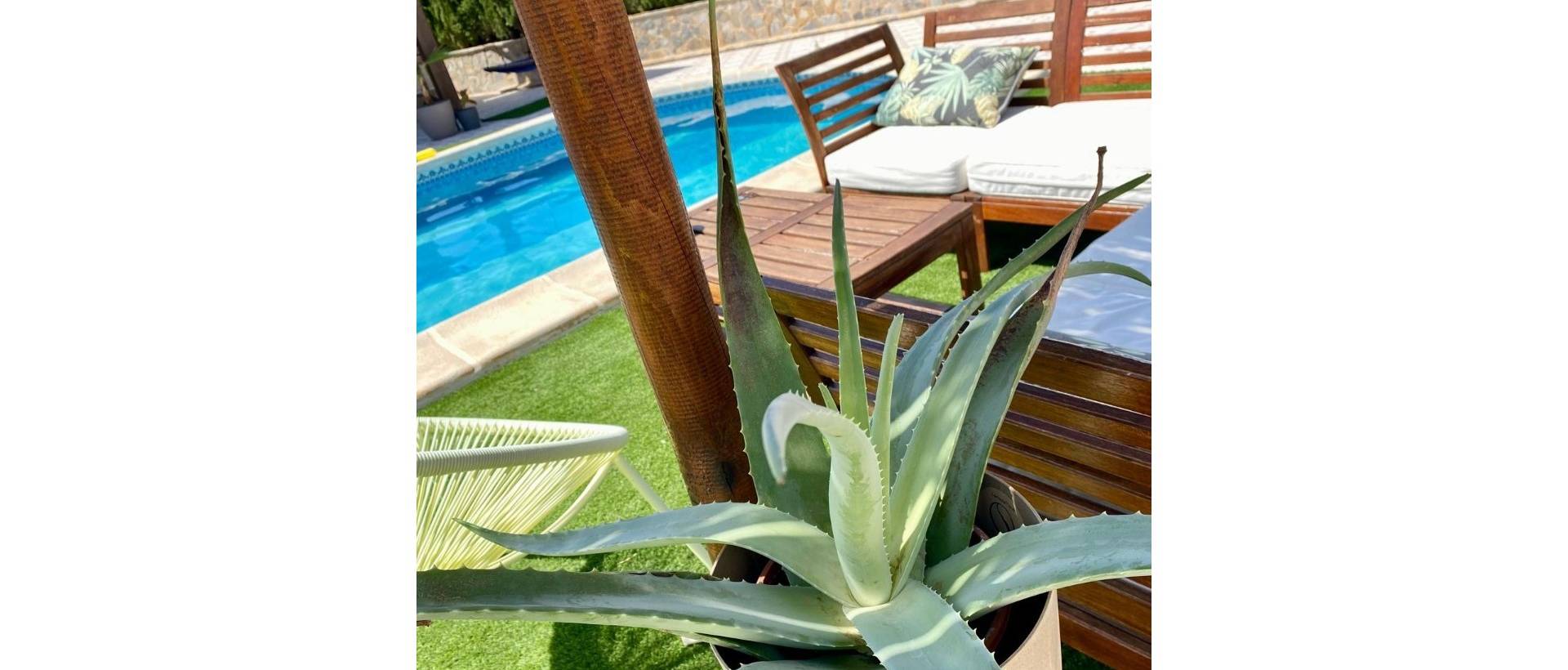Resale - Villa / Detached - Ciudad Quesada - Quesada Center