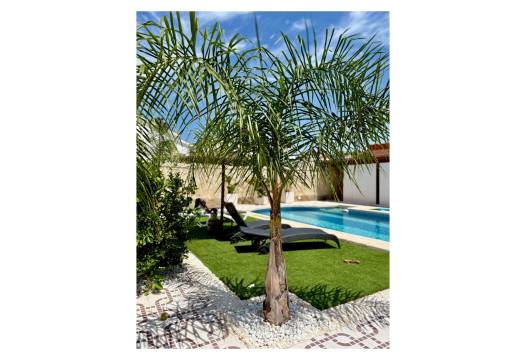 Resale - Villa / Detached - Ciudad Quesada - Quesada Center