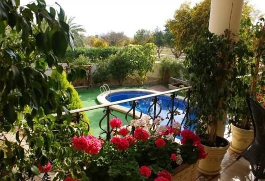 Resale - Villa - Ciudad Quesada - Cuidad Quesada