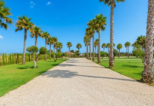 Reventa - Villa / Chalet - Elche