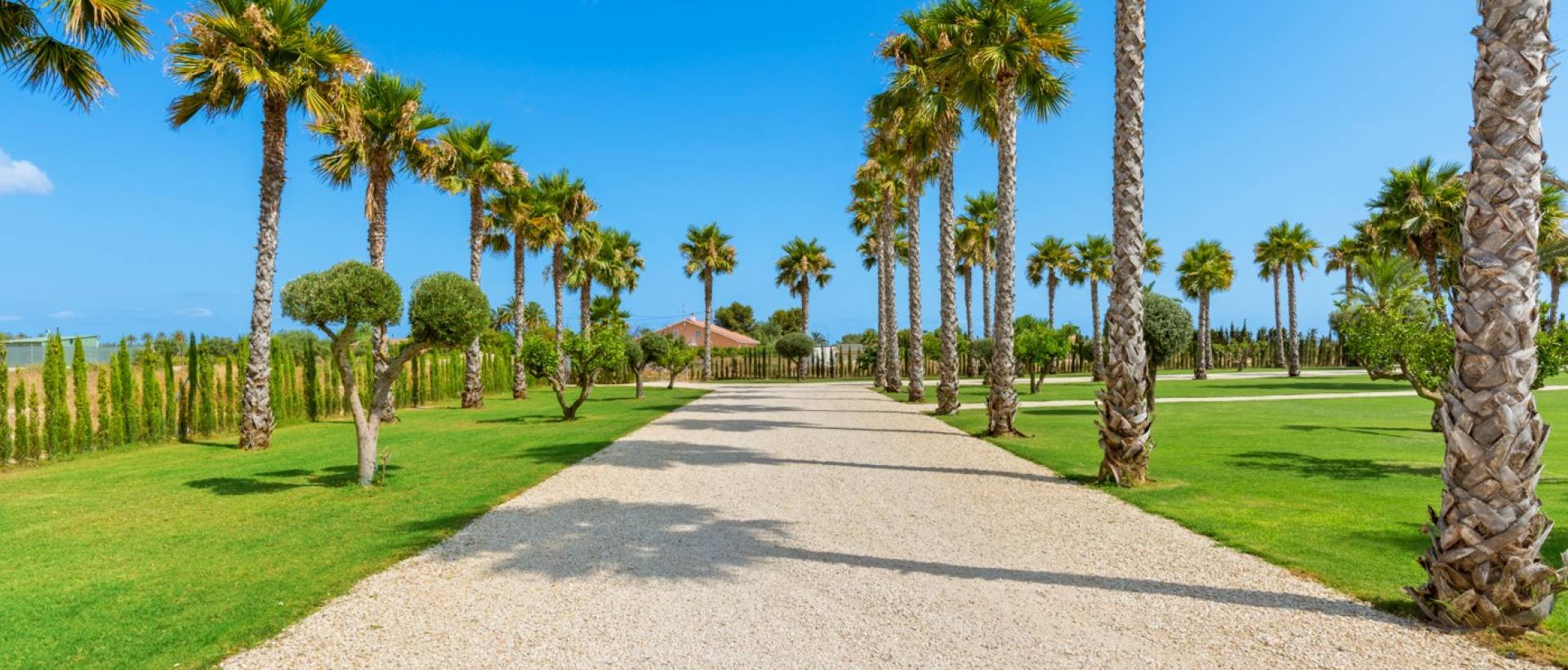 Reventa - Villa / Chalet - Elche
