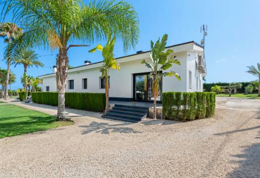 Reventa - Villa / Chalet - Elche