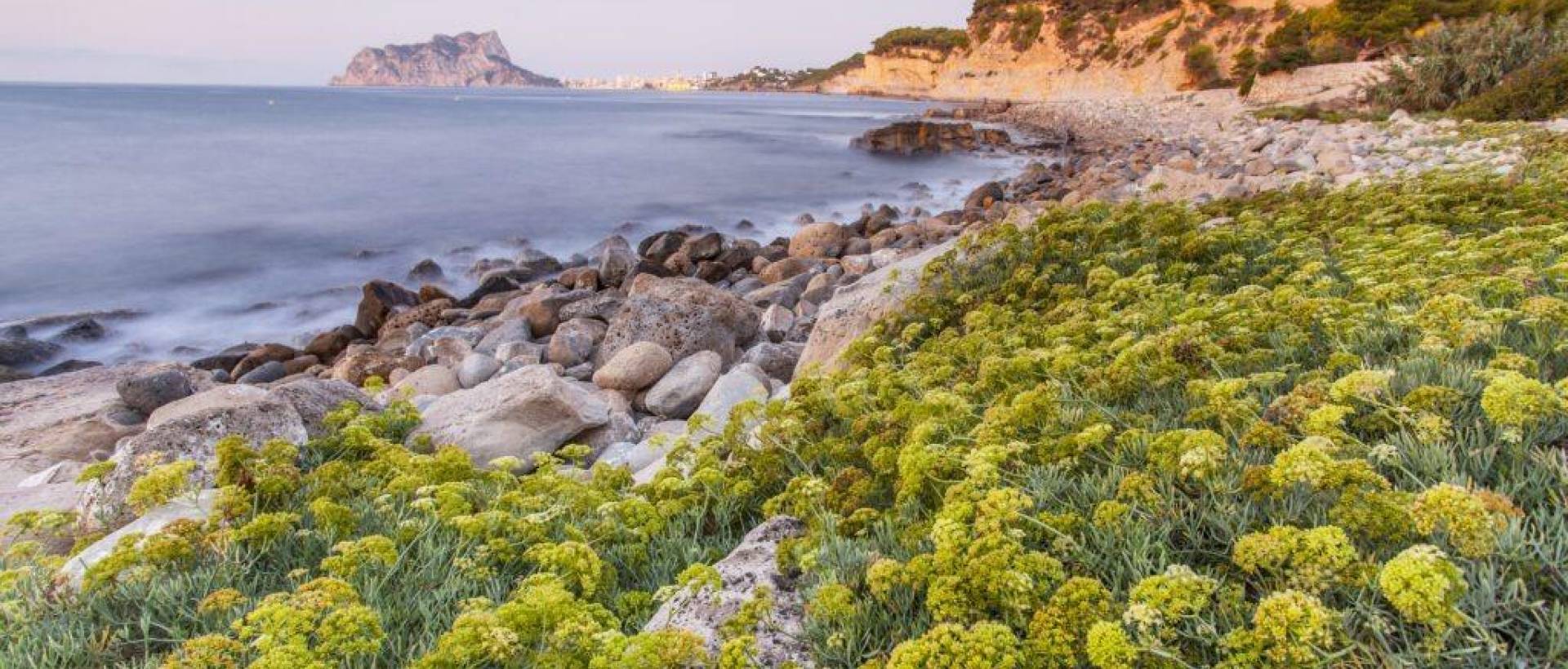 Obra Nueva - Villa / Chalet - Benissa - Cala Advocat