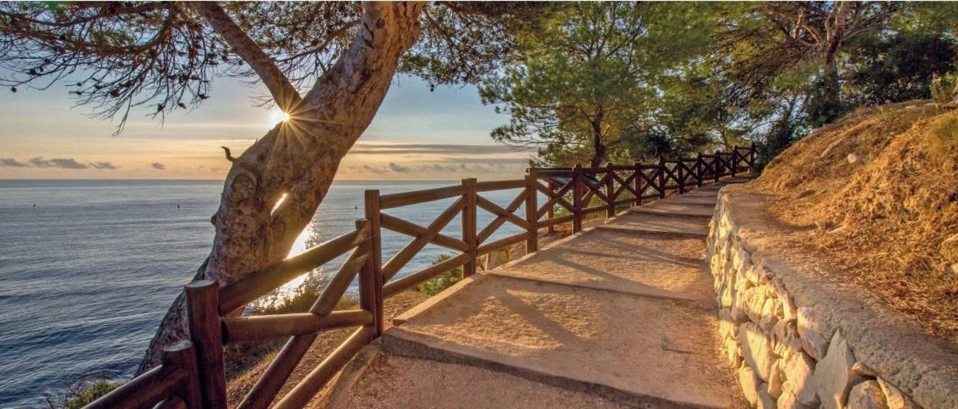 Obra Nueva - Villa / Chalet - Benissa - Cala Advocat