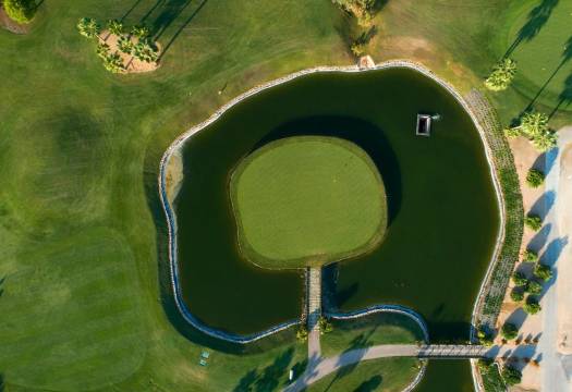 Obra Nueva - Villa / Chalet - Pilar de la Horadada - Lo Romero Golf