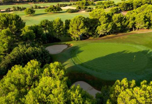 Obra Nueva - Villa / Chalet - Pilar de la Horadada - Lo Romero Golf