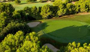 Obra Nueva - Villa / Chalet - Pilar de la Horadada - Lo Romero Golf