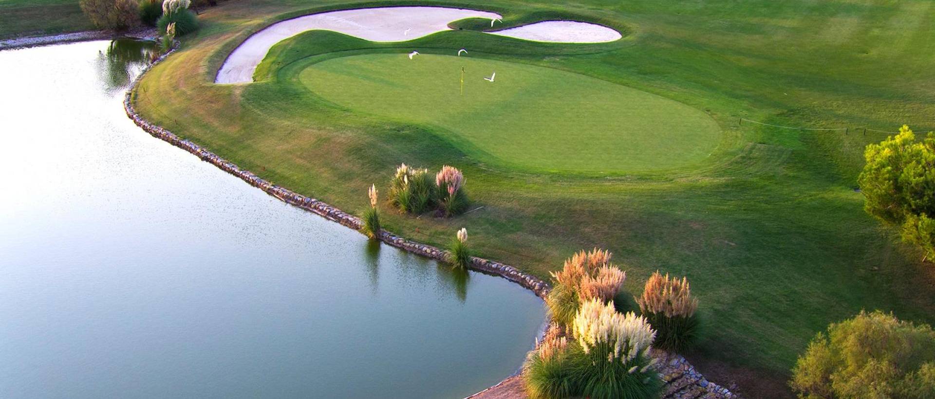 Obra Nueva - Villa / Chalet - Pilar de la Horadada - Lo Romero Golf