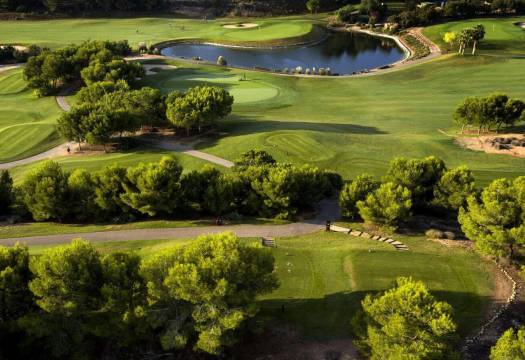 Obra Nueva - Villa / Chalet - Pilar de la Horadada - Lo Romero Golf