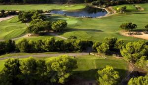 Obra Nueva - Villa / Chalet - Pilar de la Horadada - Lo Romero Golf