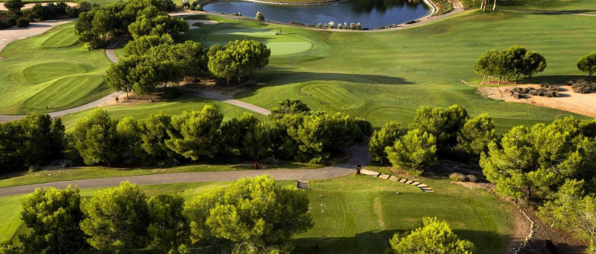 Obra Nueva - Villa / Chalet - Pilar de la Horadada - Lo Romero Golf