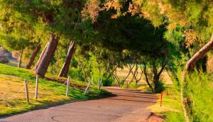Obra Nueva - Villa / Chalet - Pilar de la Horadada - Lo Romero Golf