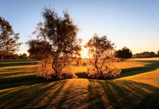 Obra Nueva - Villa / Chalet - Pilar de la Horadada - Lo Romero Golf