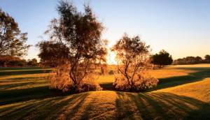 Obra Nueva - Villa / Chalet - Pilar de la Horadada - Lo Romero Golf