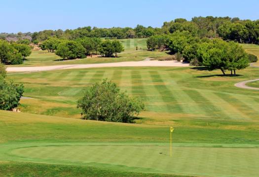 Obra Nueva - Villa / Chalet - Pilar de la Horadada - Lo Romero Golf
