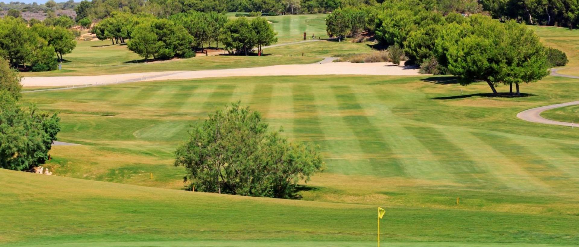 Obra Nueva - Villa / Chalet - Pilar de la Horadada - Lo Romero Golf