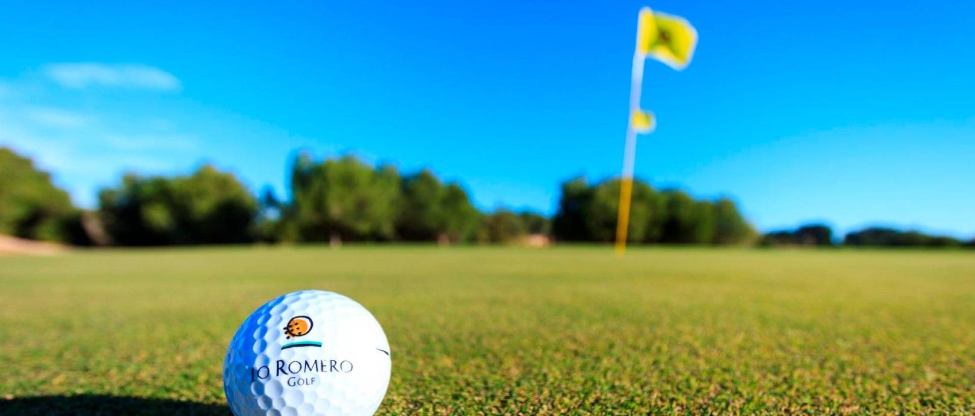 Obra Nueva - Villa / Chalet - Pilar de la Horadada - Lo Romero Golf