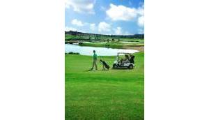 Obra Nueva - Villa / Chalet - Orihuela - Vistabella Golf
