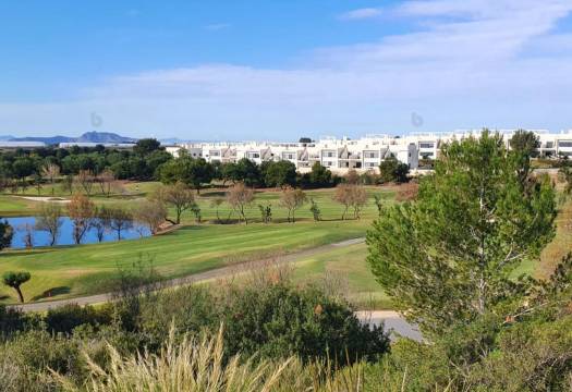 Obra Nueva - Villa / Chalet - Pilar de la Horadada - Lo Romero Golf