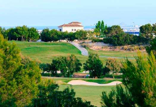 Obra Nueva - Villa / Chalet - Pilar de la Horadada - Lo Romero Golf