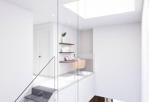 Obra Nueva - Semidetached - Pilar de la Horadada - parques de Andromeda