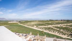 Obra Nueva - Semidetached - Algorfa - La Florida
