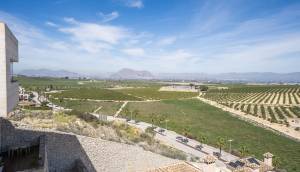 Obra Nueva - Semidetached - Algorfa - La Florida