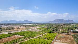 New - Ground floor apartment - Jacarilla - pueblo