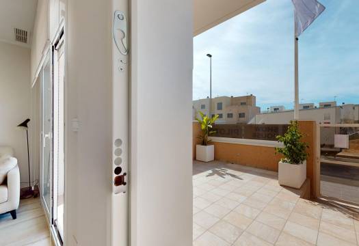 Obra Nueva - Semidetached - Pilar de la Horadada - Lo Monte