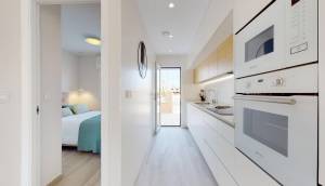 Obra Nueva - Semidetached - Pilar de la Horadada - Lo Monte