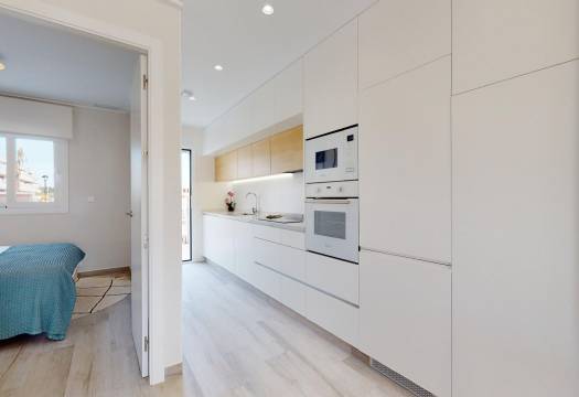 Obra Nueva - Semidetached - Pilar de la Horadada - Lo Monte
