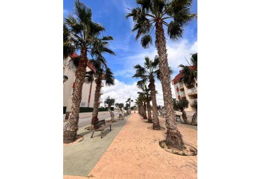 Obra Nueva - Ground floor apartment - Orihuela Costa - Lomas De Cabo Roig