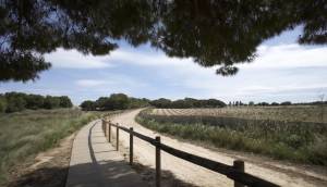 Obra Nueva - Villa / Chalet - Torrevieja - Sector 25