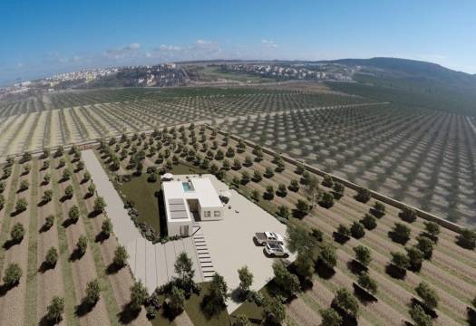 Obra Nueva - Villa / Chalet - Algorfa - Lomas De La Juliana