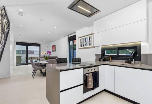 Obra Nueva - Semidetached - Guardamar del Segura - Els secans