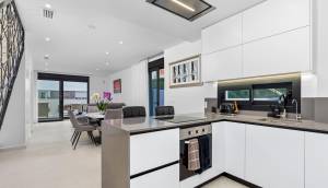 Obra Nueva - Semidetached - Guardamar del Segura - Els secans