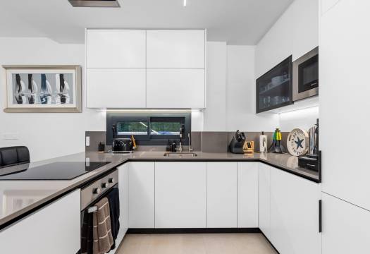 Obra Nueva - Semidetached - Guardamar del Segura - Els secans