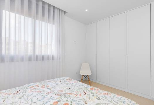 Obra Nueva - Semidetached - Guardamar del Segura - Els secans