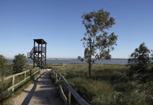 Obra Nueva - Top Floor Bungalow - Torrevieja - Altos del Sol