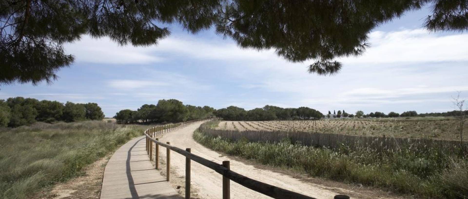 Obra Nueva - Top Floor Bungalow - Torrevieja - Altos del Sol