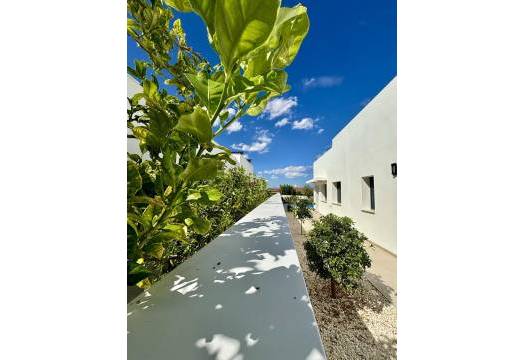 Obra Nueva - Villa / Chalet - Benijofar - Pueblo
