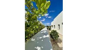 Obra Nueva - Villa / Chalet - Benijofar - Pueblo