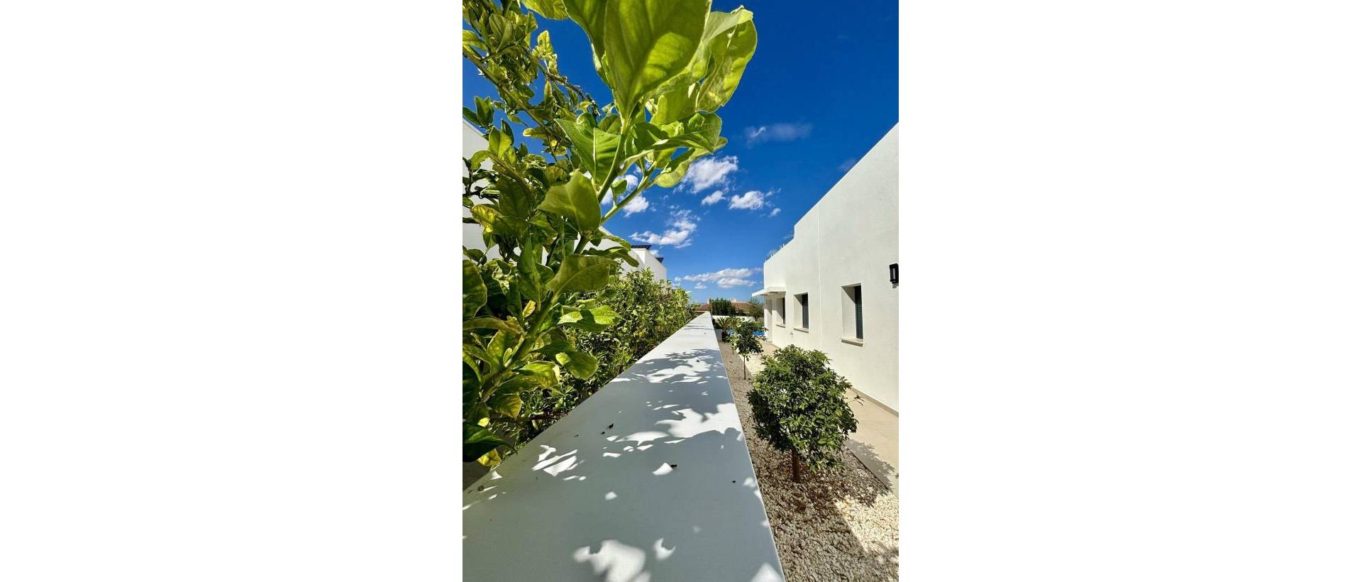 Obra Nueva - Villa / Chalet - Benijofar - Pueblo