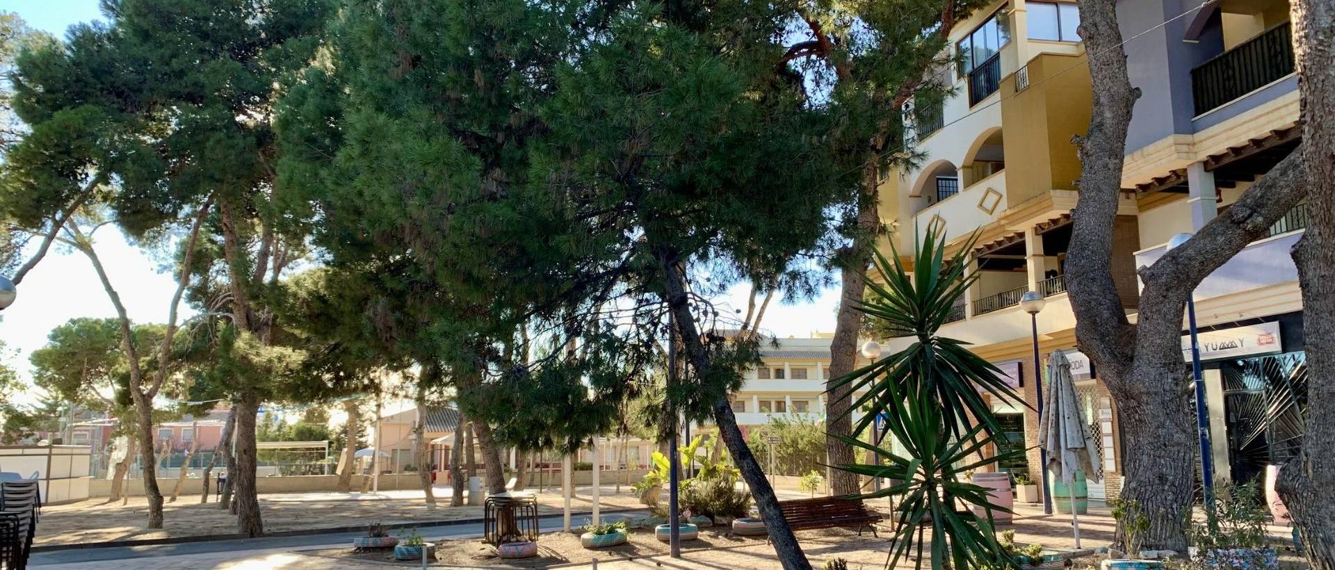 Obra Nueva - Ground Floor Bungalow - San Javier - Roda Golf